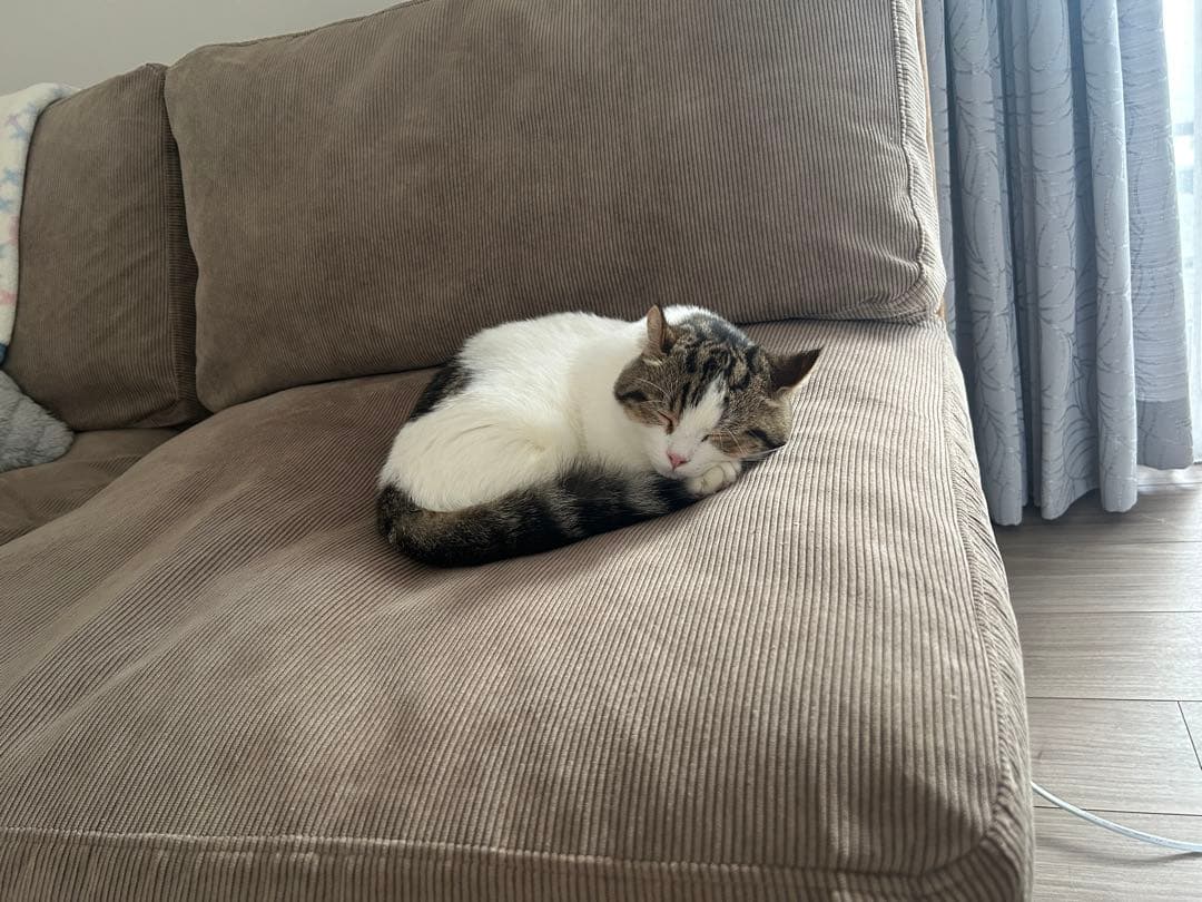 コーデュロイ 2人掛けソファカバー