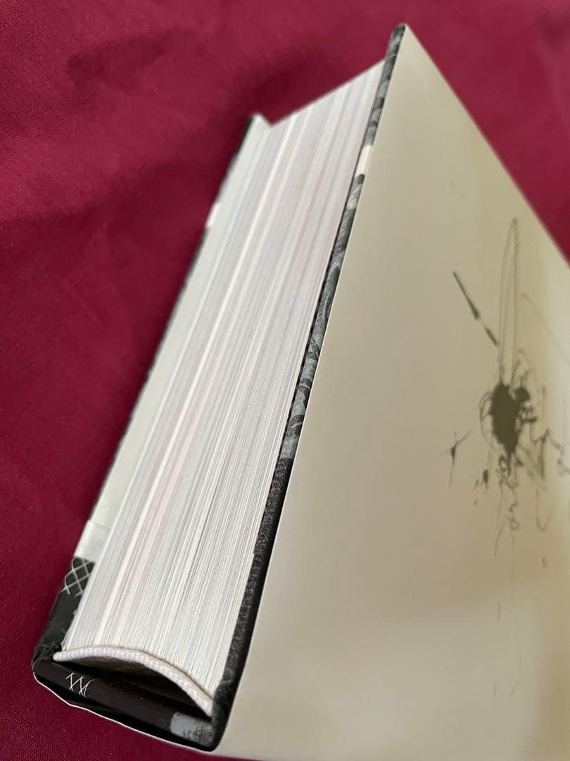 洋書 Hypergraphia david sylvian