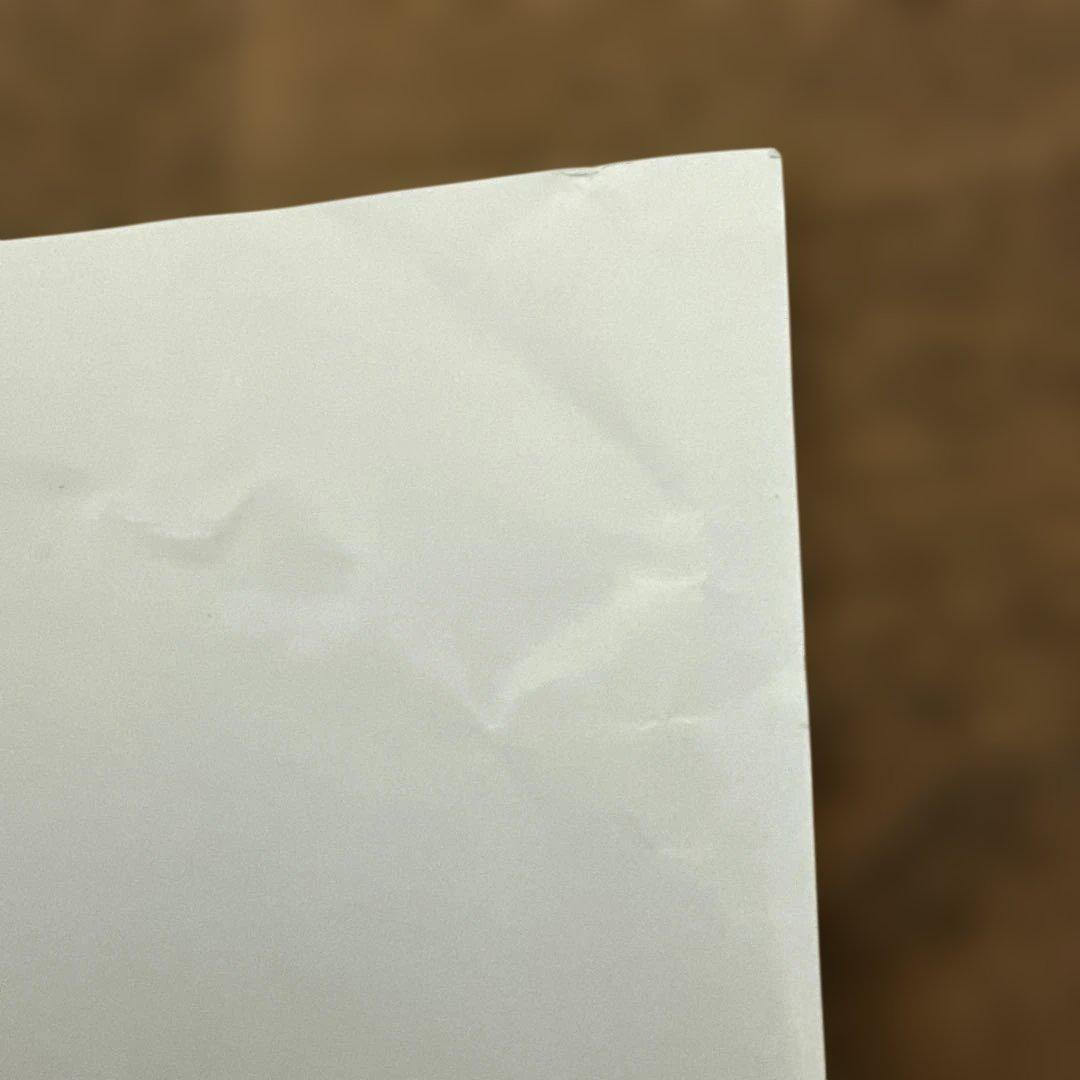 3DS ダミージャケット