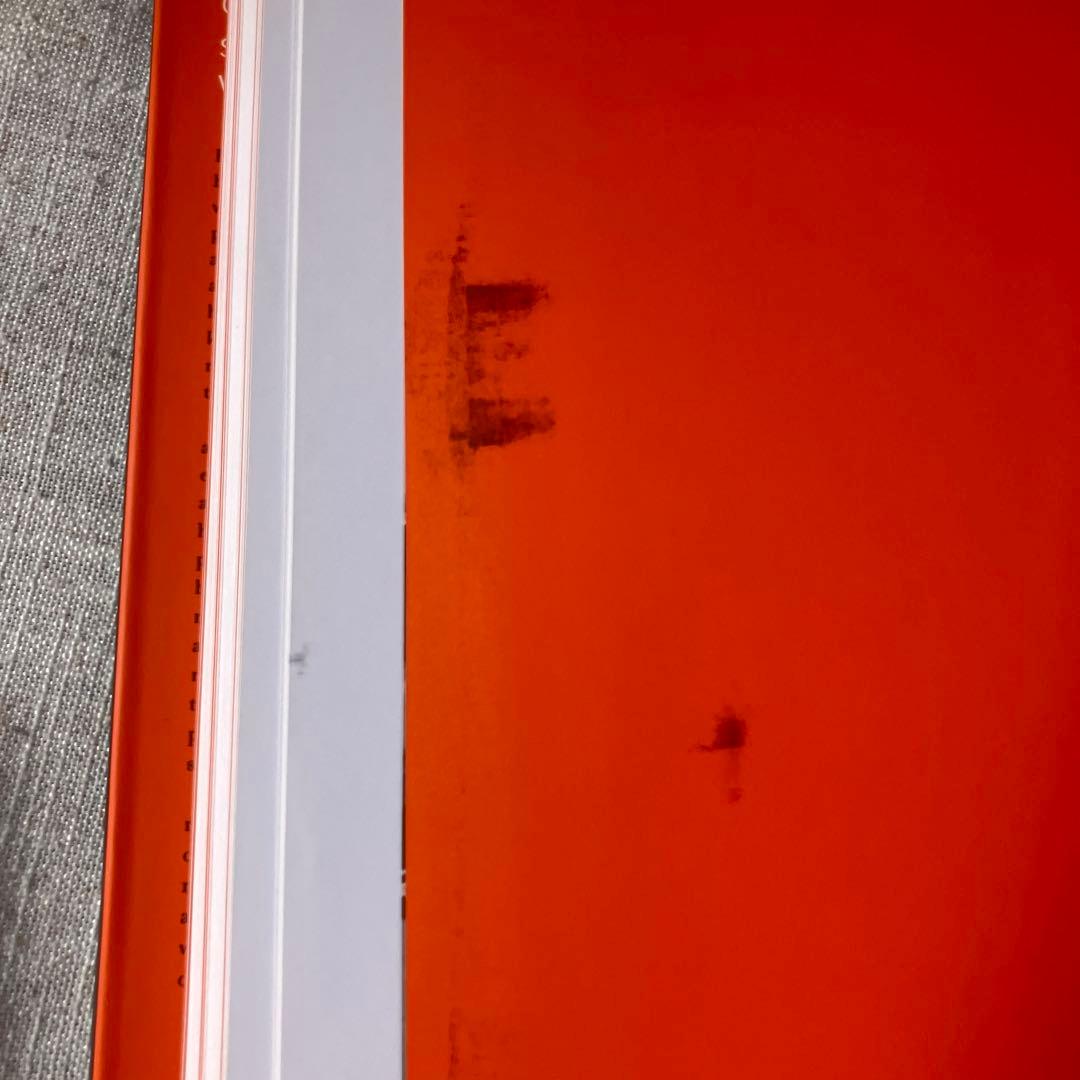 【ヴィヴィアン・マイヤー写真集】A Photographer Found｜大型版