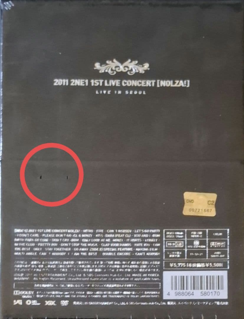 2NE1/1ST LIVE CONCERT'NOLZA!'LIVE IN SE…