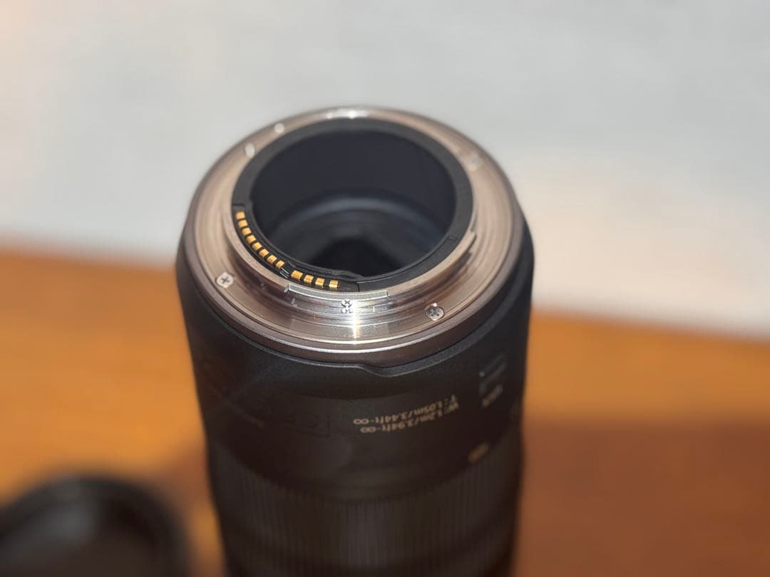 Canon RF 100-400mm F5.6-8 IS USM フード付き