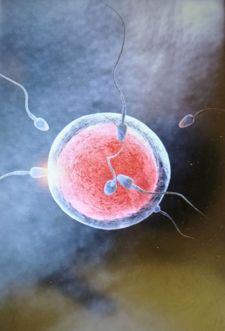 「生命の誕生」（未来絵画）