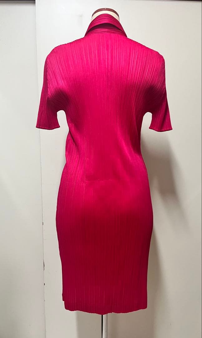 プリーツプリーズ