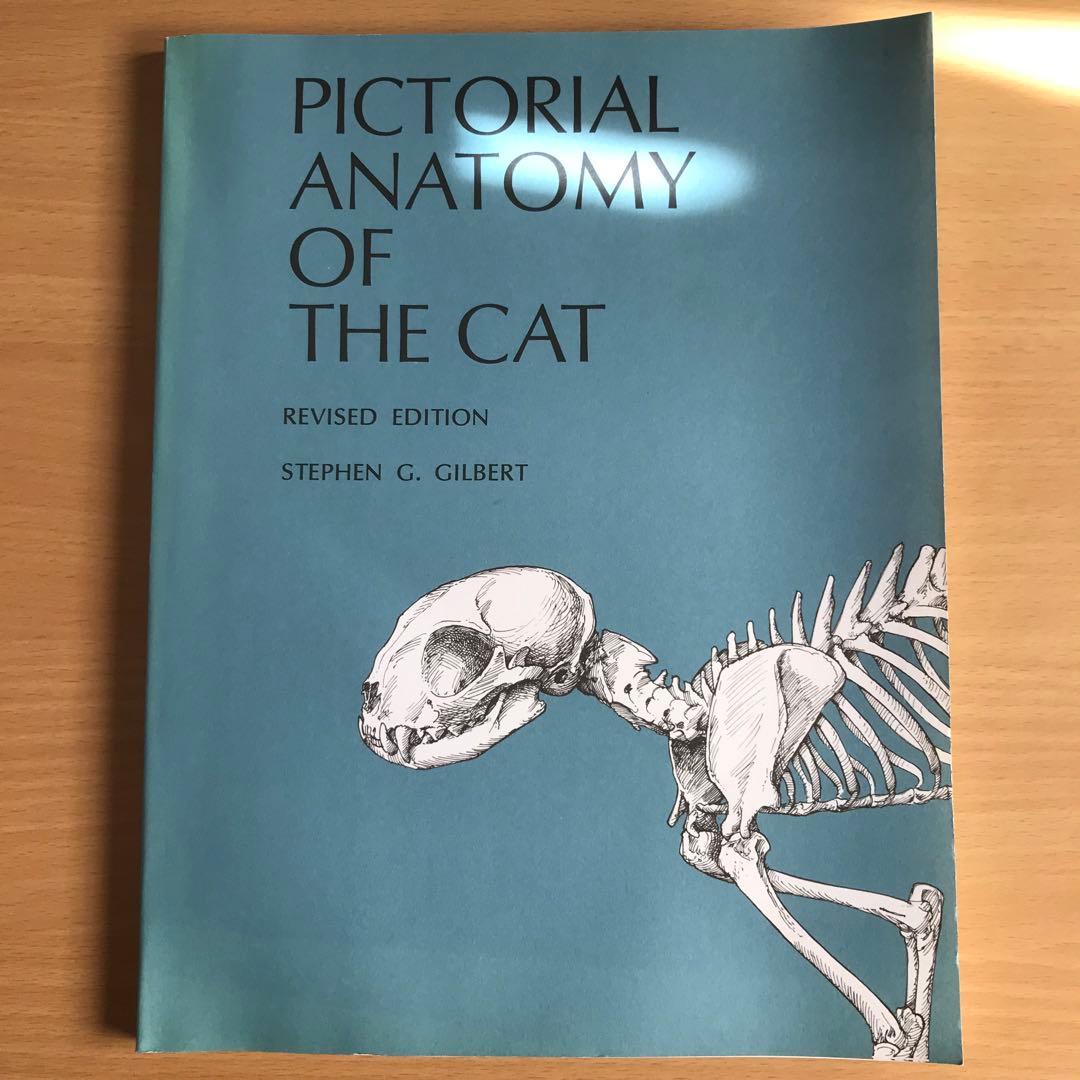 Anatomy of the Cat ほか猫解剖学関連書籍　４点セット