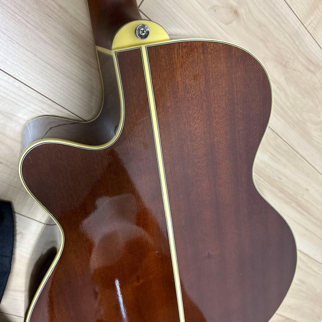 Aria エレクトリックアコースティックギター カバー、ピック付き