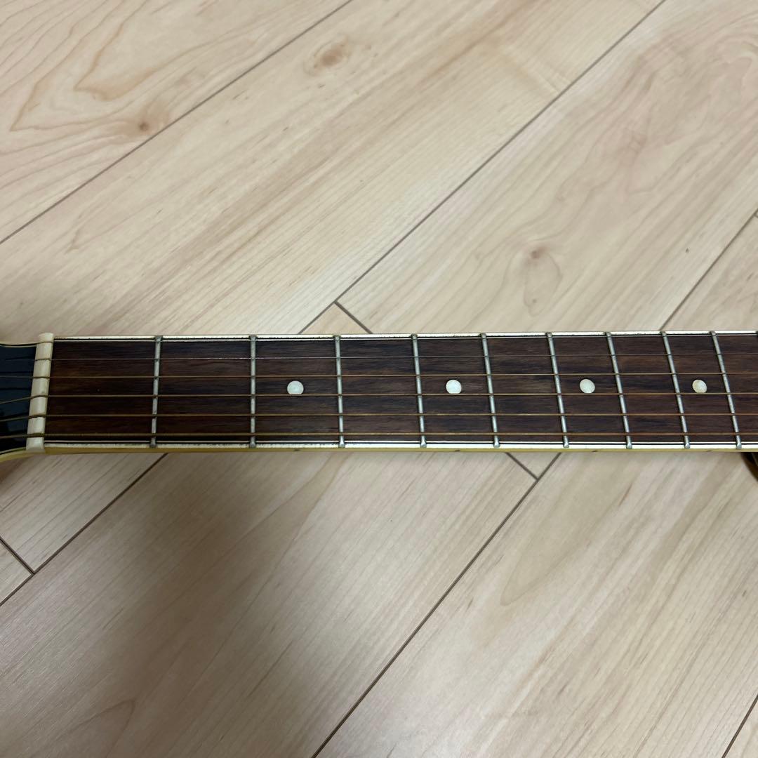 Aria エレクトリックアコースティックギター カバー、ピック付き