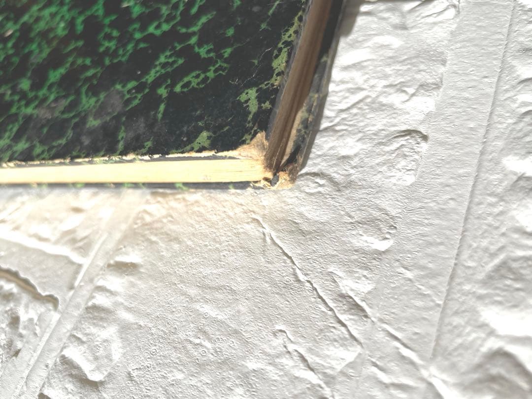 【一点限り】藤田嗣治 ポーゾル王の冒険 木版画 挿絵27点収録 ピエール ルイス