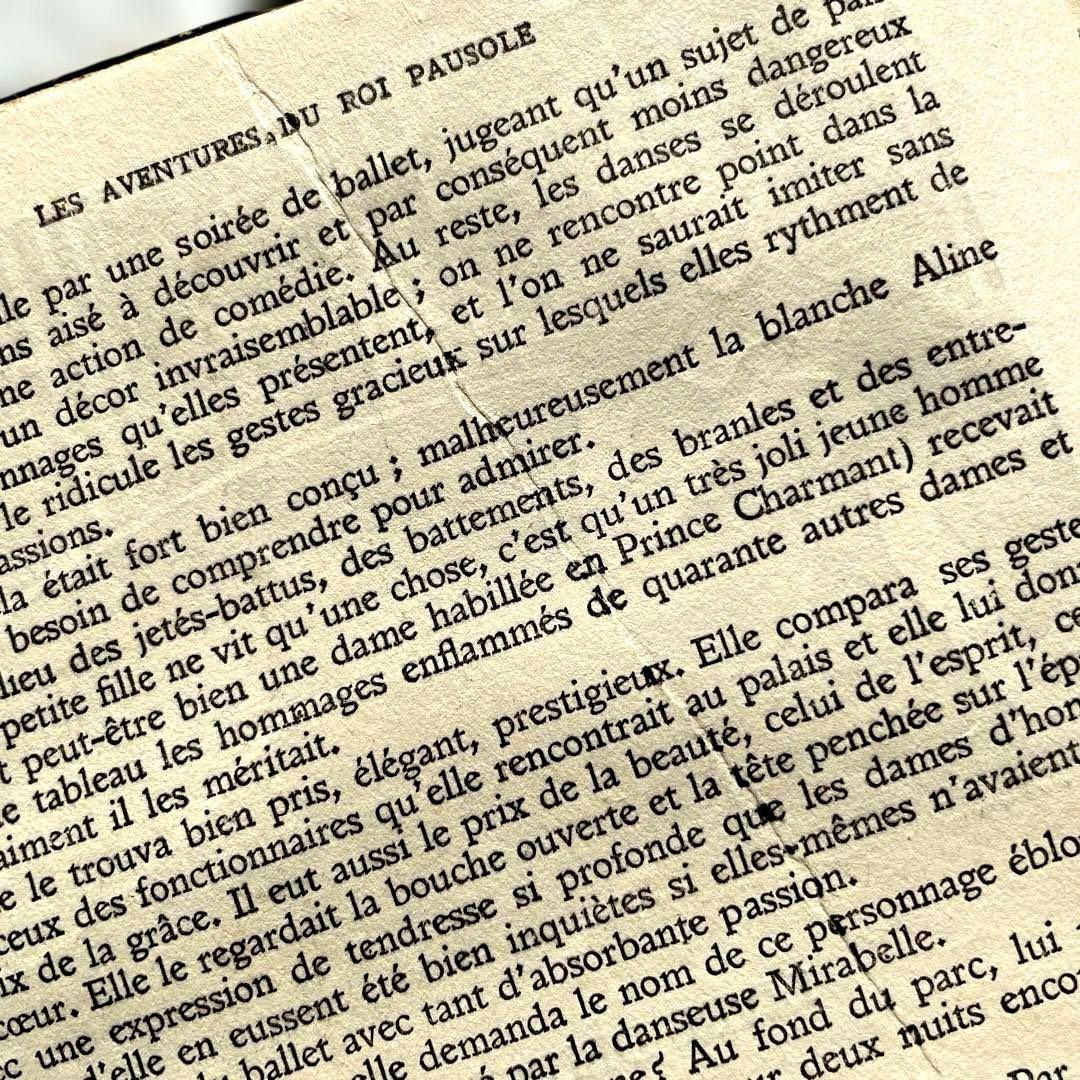 【一点限り】藤田嗣治 ポーゾル王の冒険 木版画 挿絵27点収録 ピエール ルイス