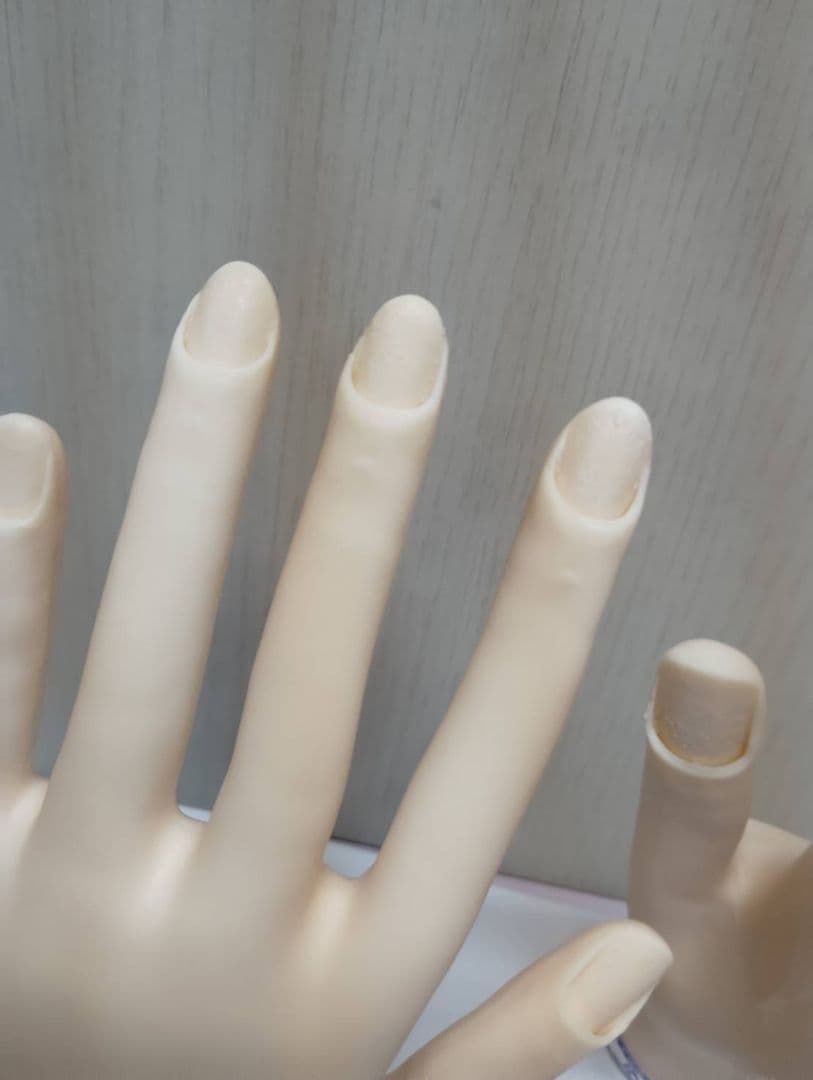 JNEC認定ハンドモデル　ネイリスト技能検定　ジェルネイル検定　美品