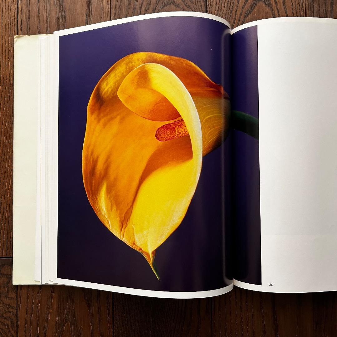 Flowers Mapplethorpe ロバート・メープルソープ写真集