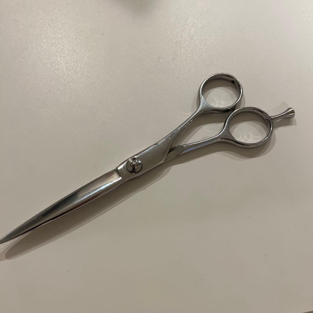 トラックスシザー　HARD6.0 PARM10 2本セット