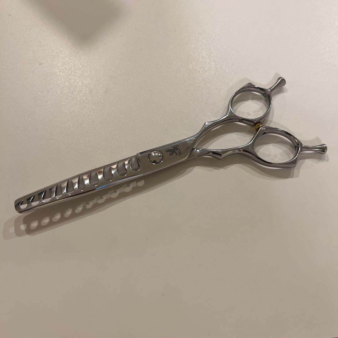 トラックスシザー　HARD6.0 PARM10 2本セット