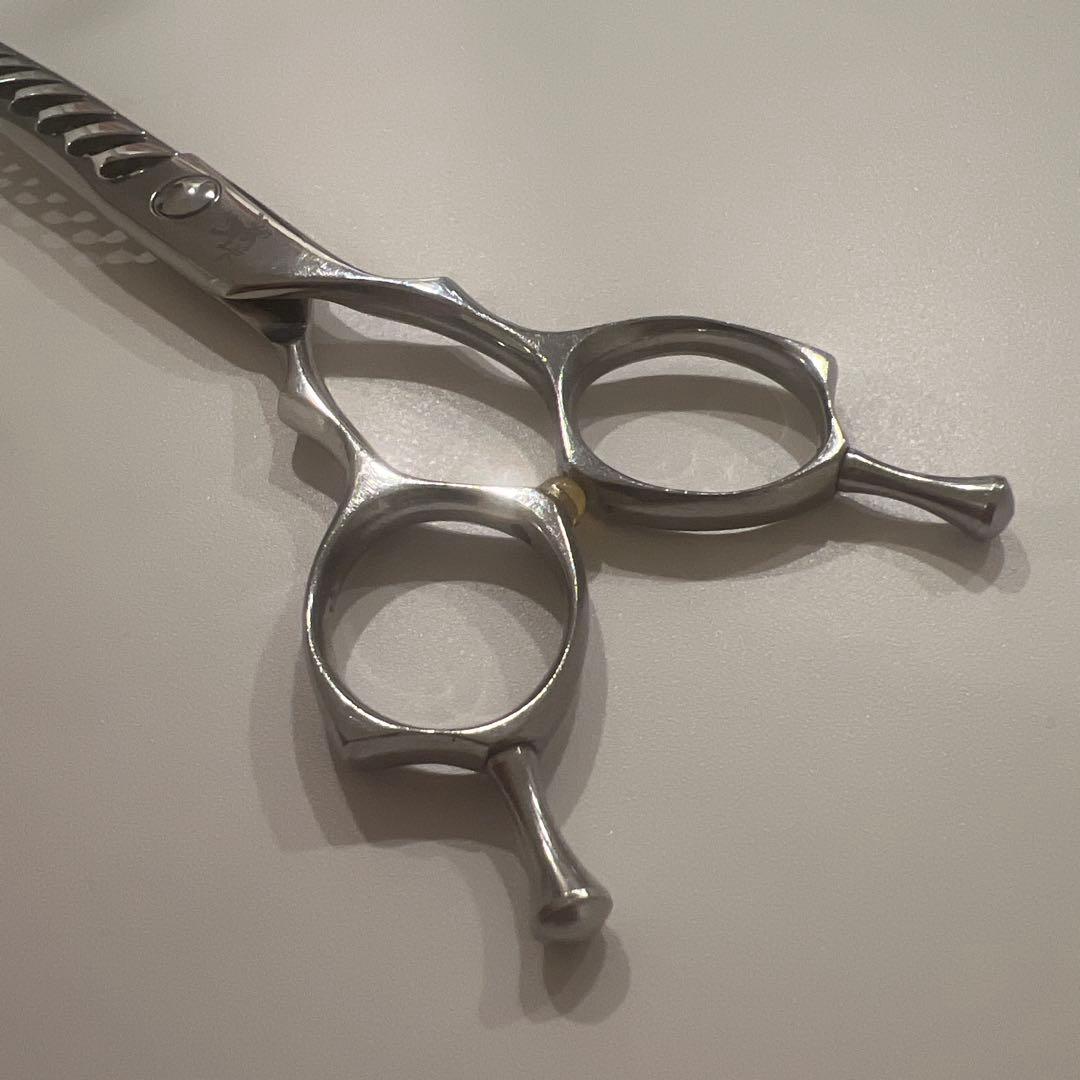 トラックスシザー　HARD6.0 PARM10 2本セット