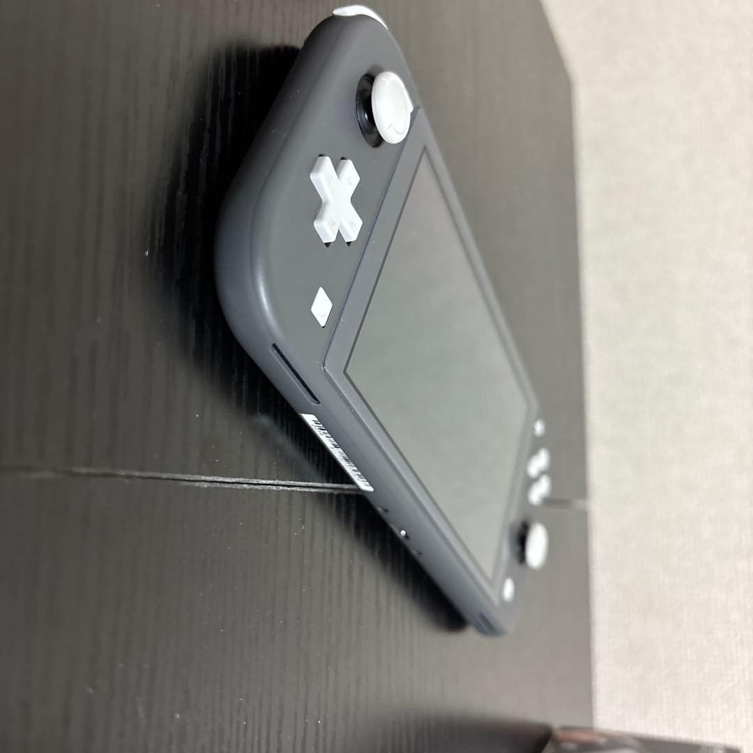 Switch Lite 本体　（動作確認済）