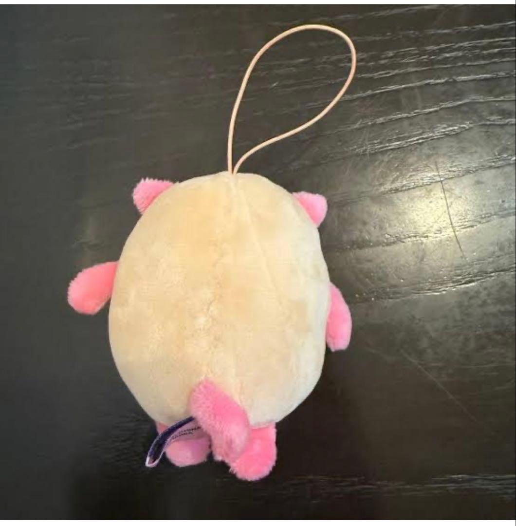 確認用　ぬいぐるみ