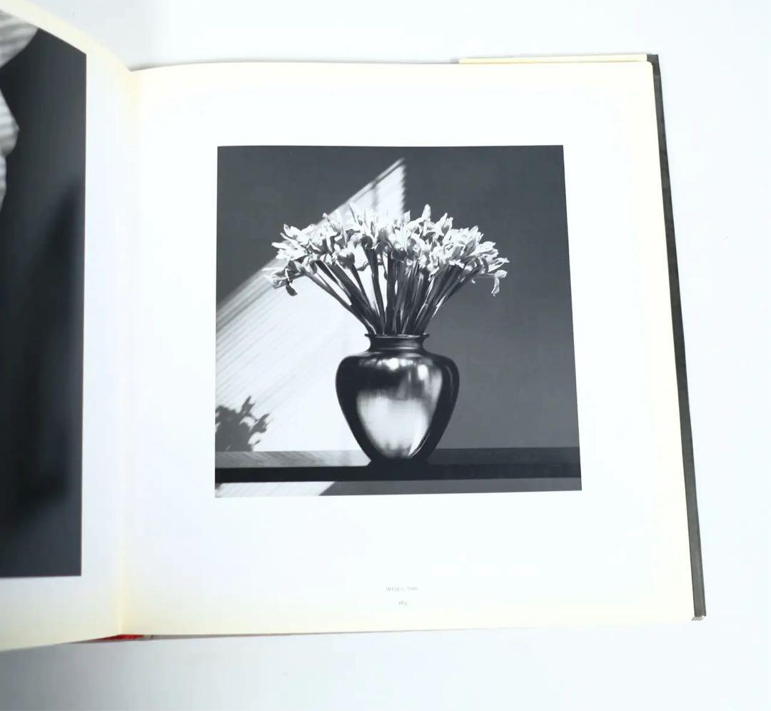 ROBERT MAPPLETHORPE 洋書　写真集　RANDOM HOUSE