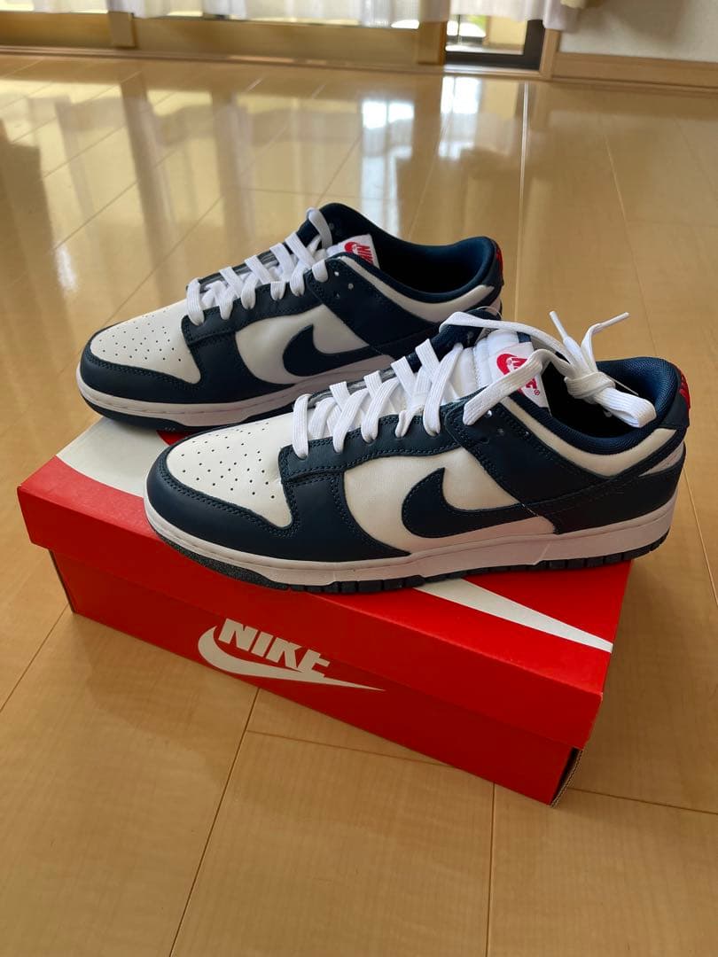 邦楽 NIKE DUNK LOW RETRO / Valerian blue