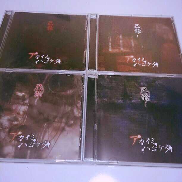 己龍 アカイミハジケタ