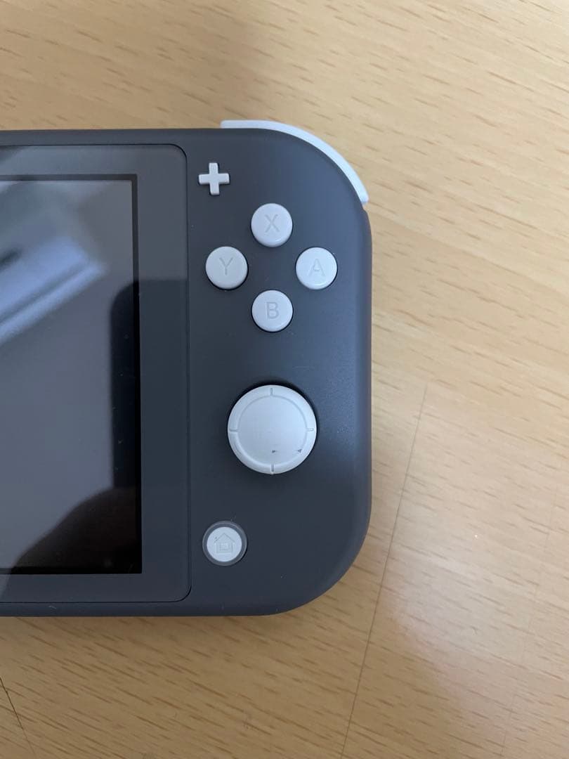 Nintendo Switch Lite グレー本体（その他)