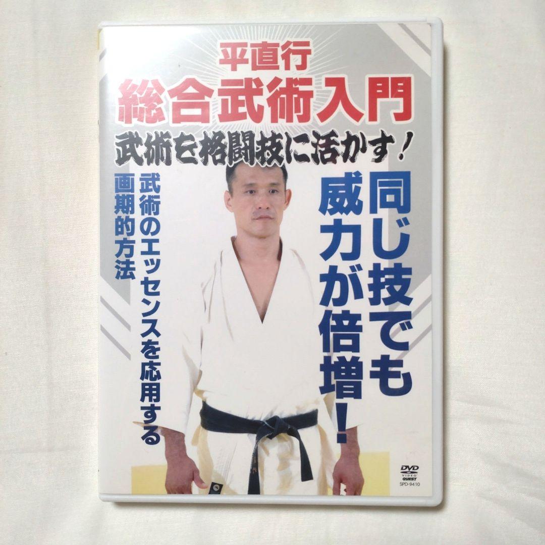 貴重❗❗DVD 平直行 総合武術入門 武術を格闘