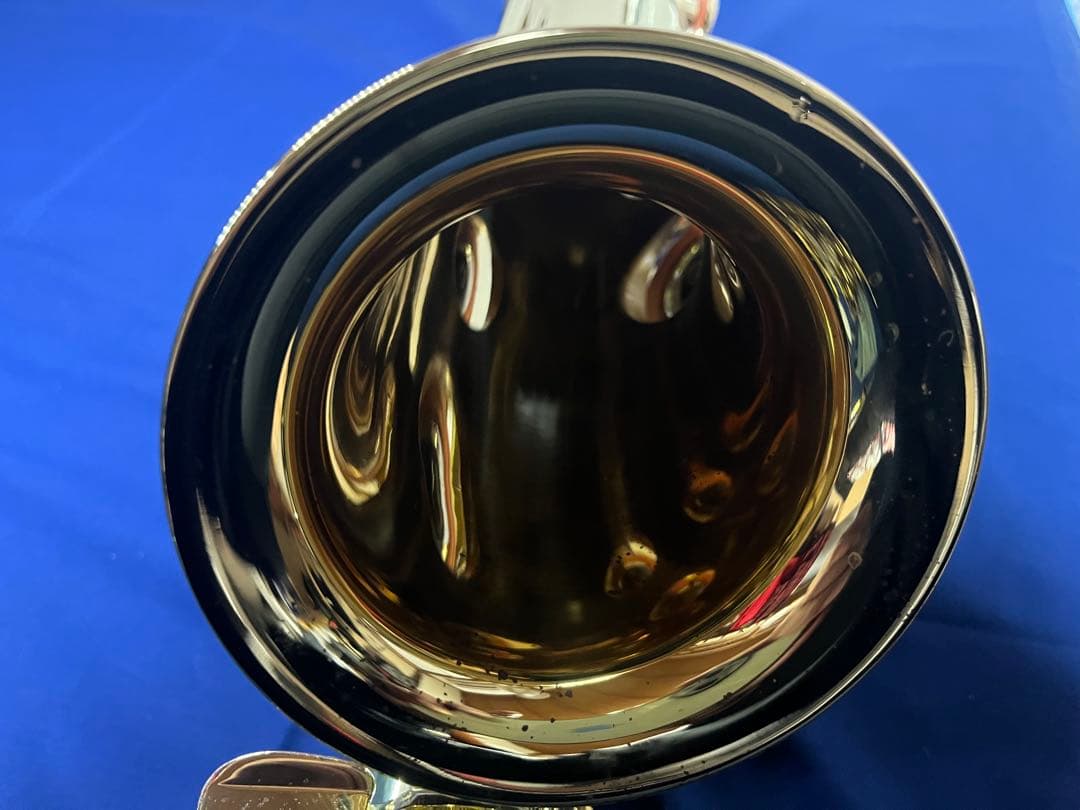 MINERVA アルトサックス セミハードケース付き