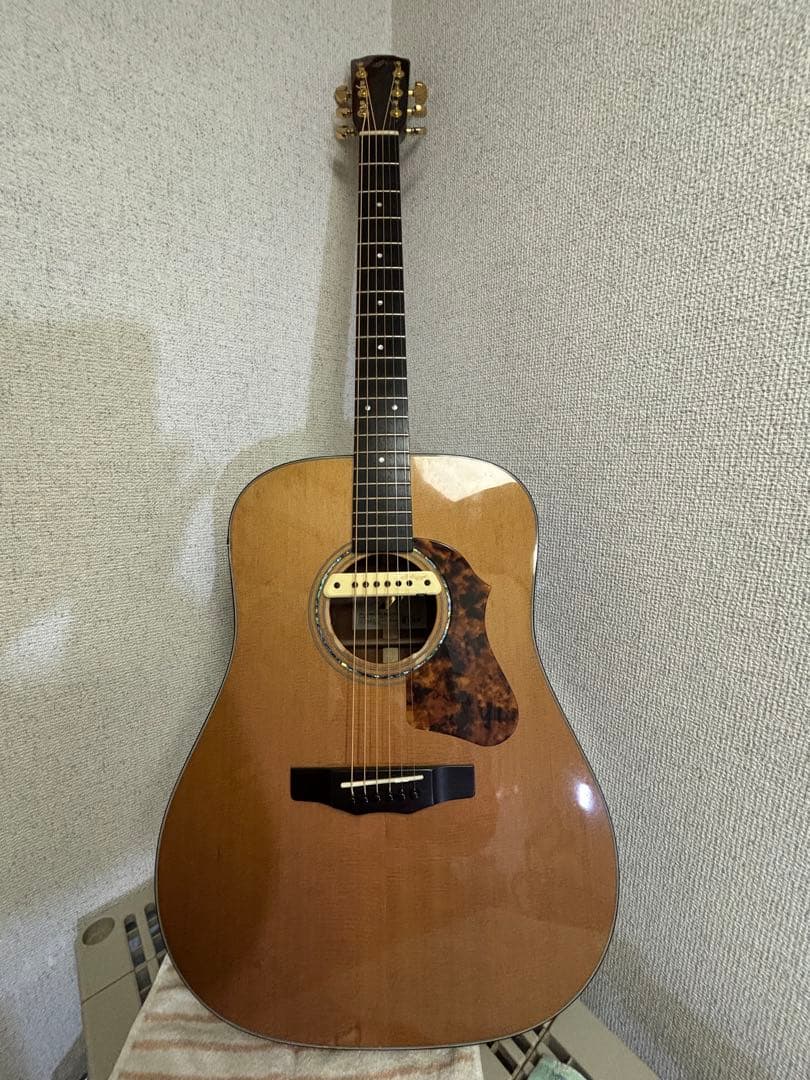 Morris M-82 + LR Baggs M1 搭載 純正ソフトケース付き