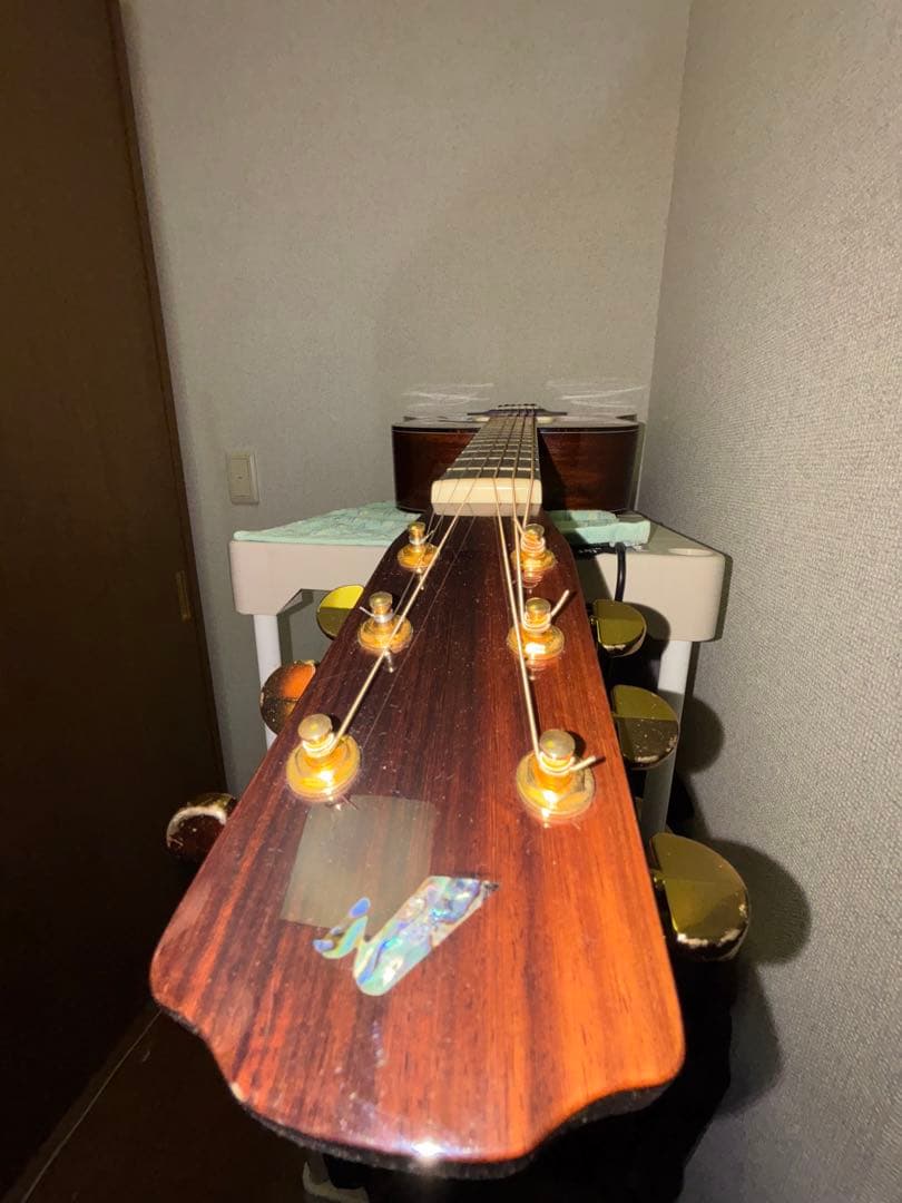 Morris M-82 + LR Baggs M1 搭載 純正ソフトケース付き