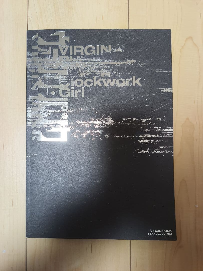 VIRGIN PUNK ヴァージン・パンク　劇場パンフレット