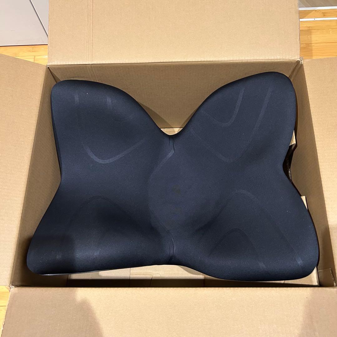 スタイルプレミアム MTG Style PREMIUM 骨盤 姿勢補正　ブラック