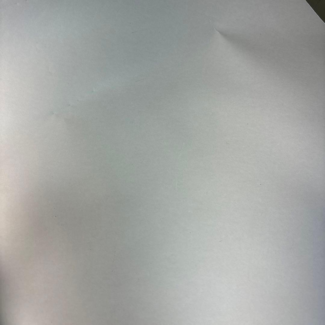 その他観葉植物 stella