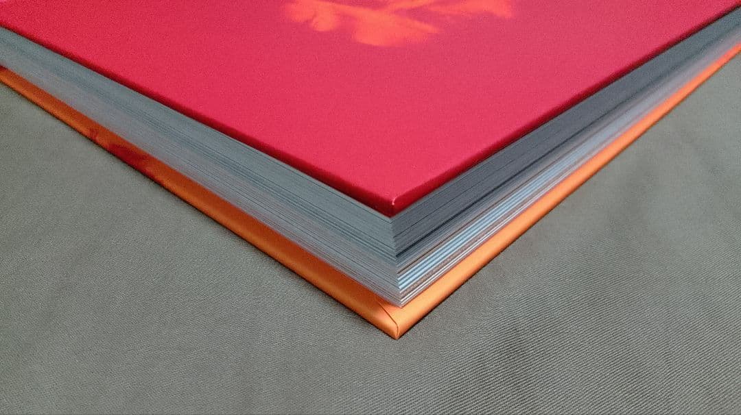 デヴィッド・ボウイ・イズ 復刻版　日本語翻訳版｜David Bowie Is…