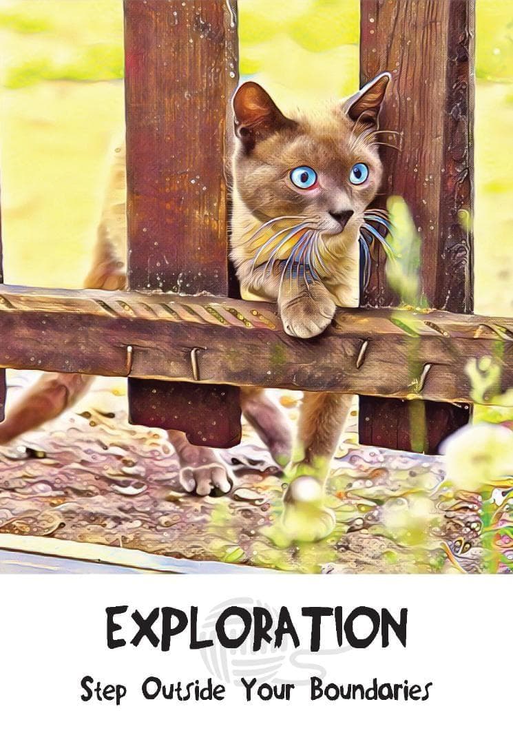 【正規品オラクルカード】新装版✨キュート＆癒し✨可愛い猫たちの知恵のカード