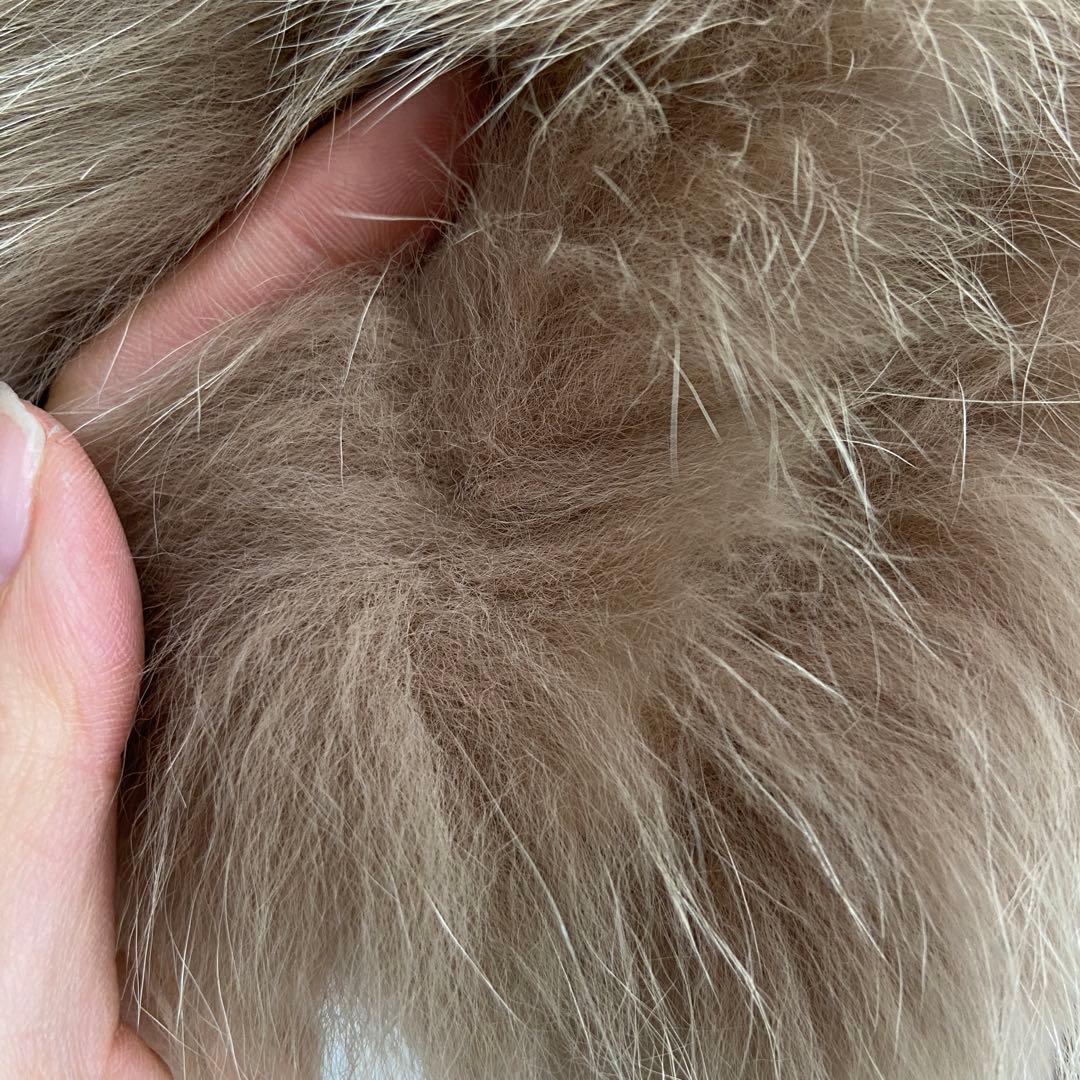 美品⭐️SAGAFOXサガフォックス ハーフコート ボリューミー銀サガ　キャメル