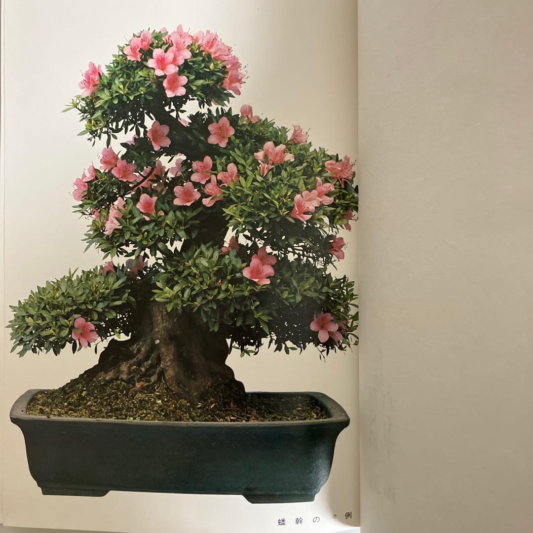 高等教範　盆栽の基本樹形　上下巻　中津千吉