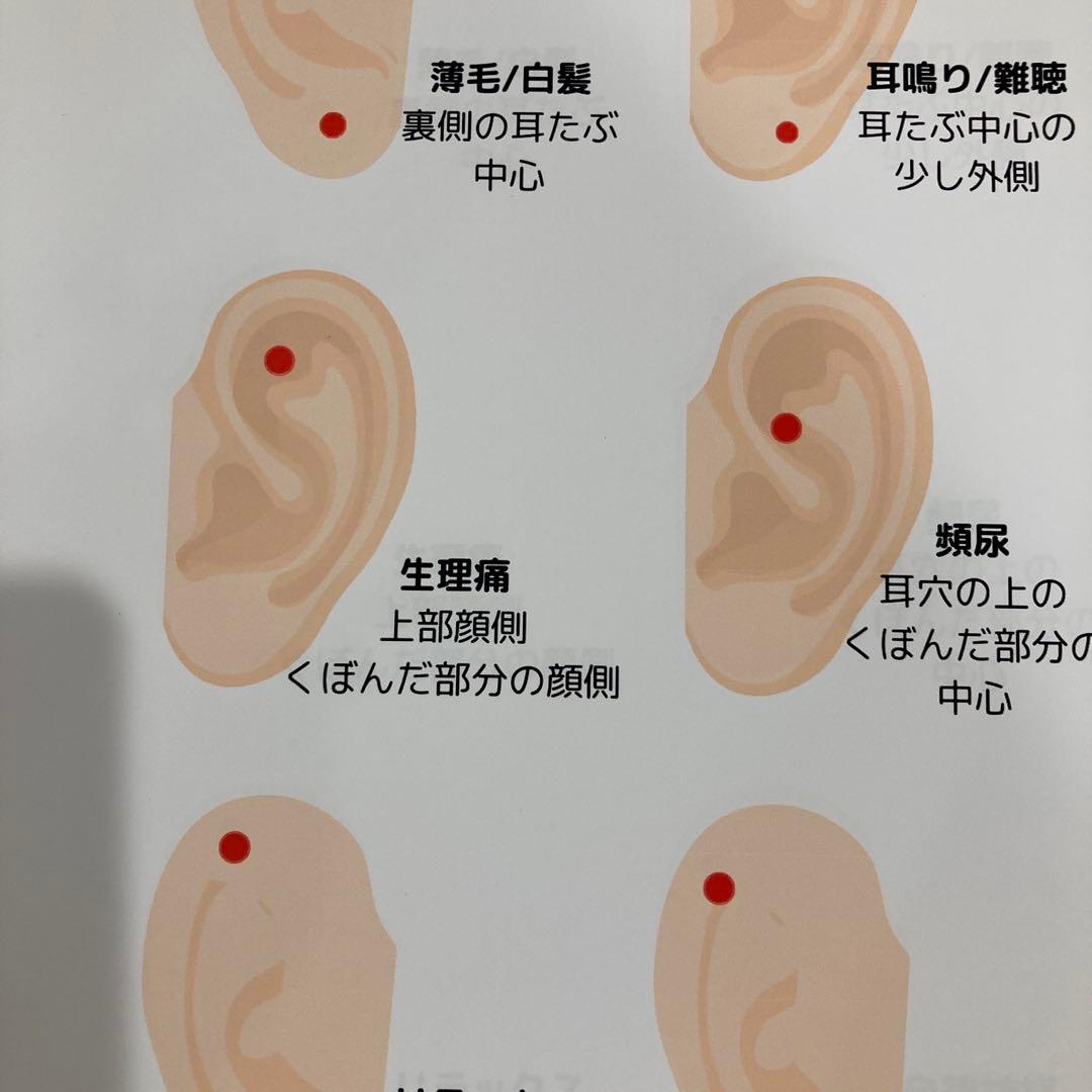 『耳つぼ探知機 』付☆耳ツボジュエリー施術初期導入セット