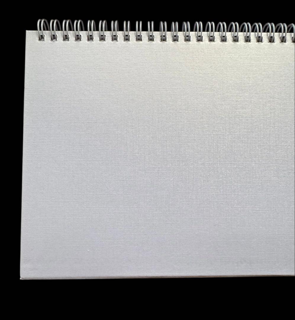 みなみ 楊洋 ヤン・ヤン 2026年 卓上カレンダー