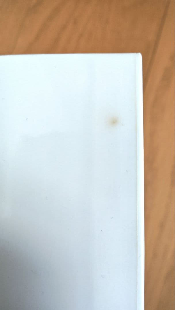 THE BEATLES IN MONO BOX 13CD 完全初回生産限定盤