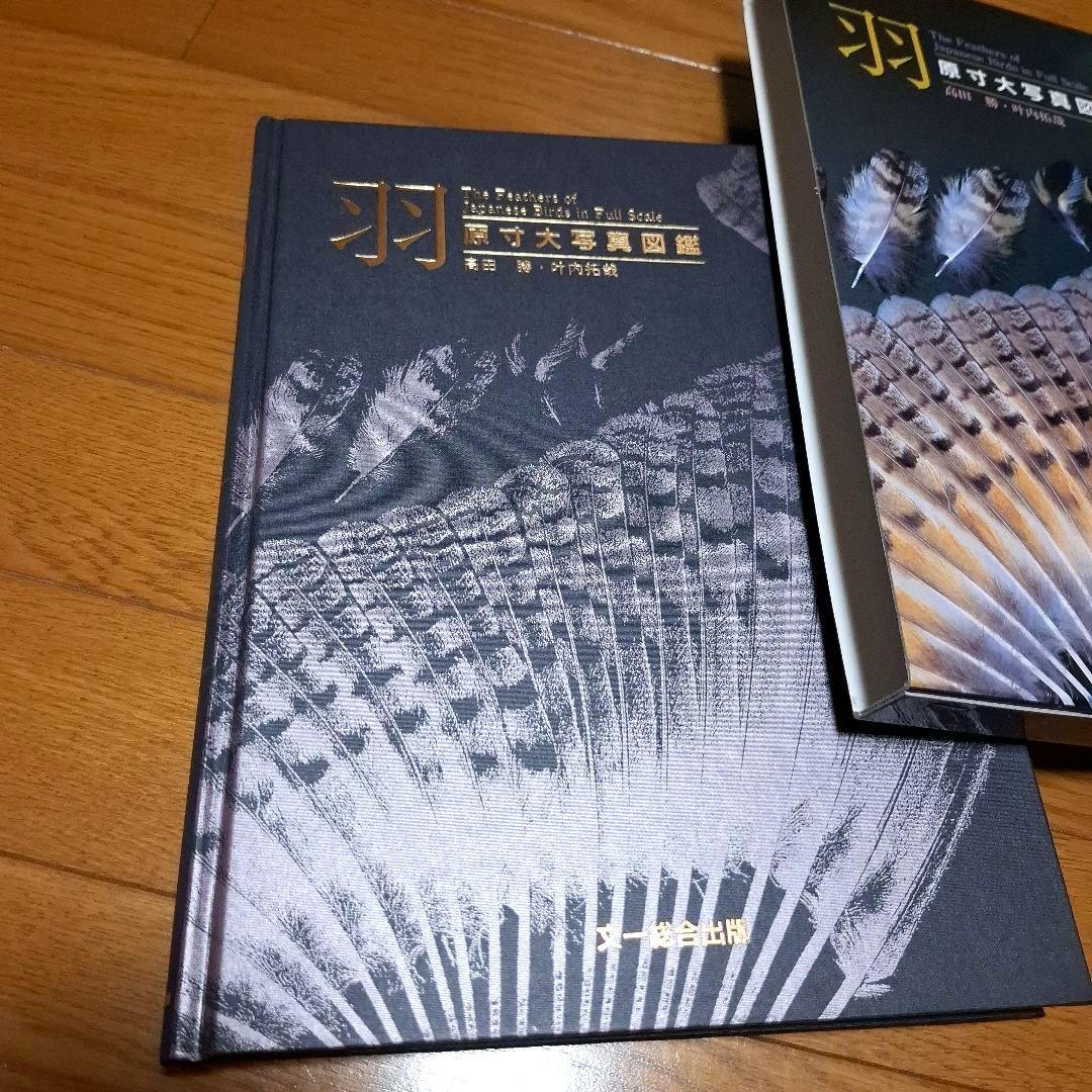 羽 原寸大写真図鑑　高田勝/著 叶内拓哉/著　ポスター付録付き