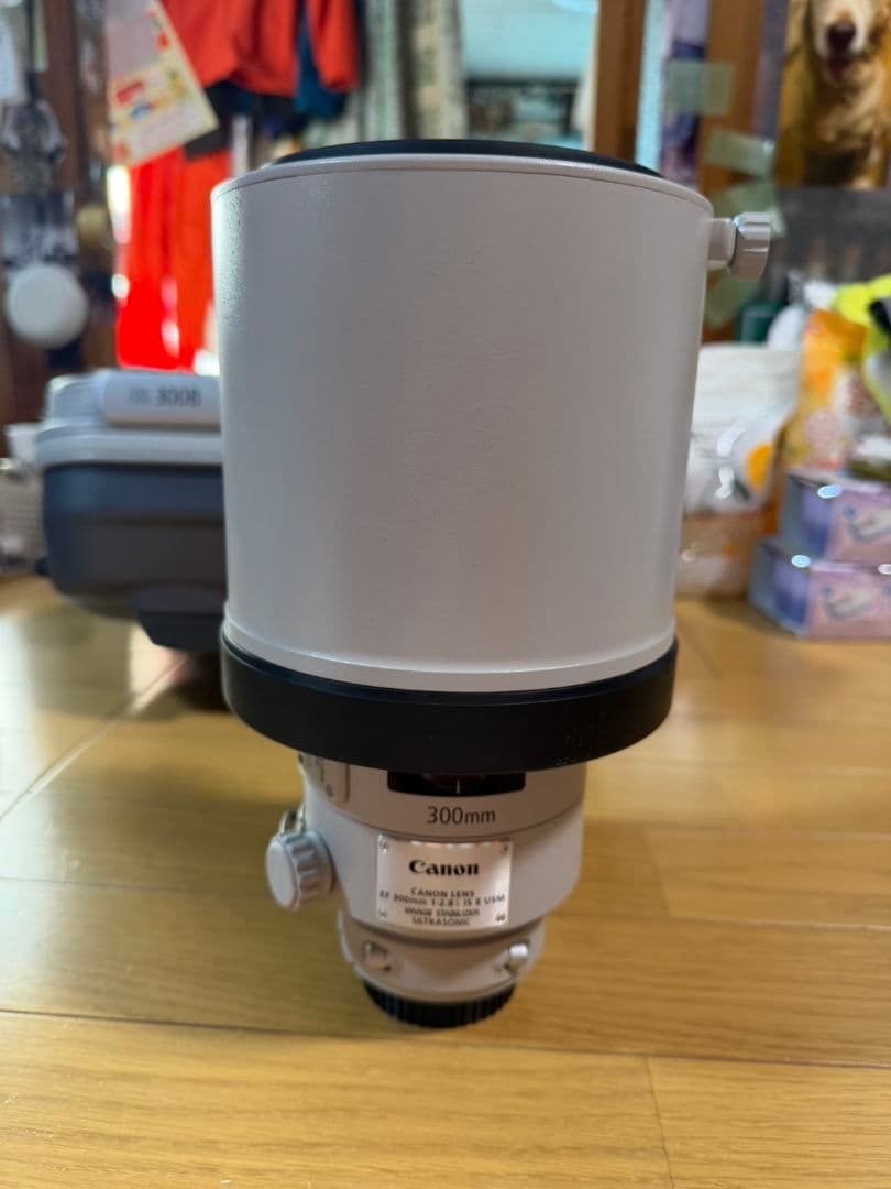 Canon EF300mm F2.8L IS II USM」