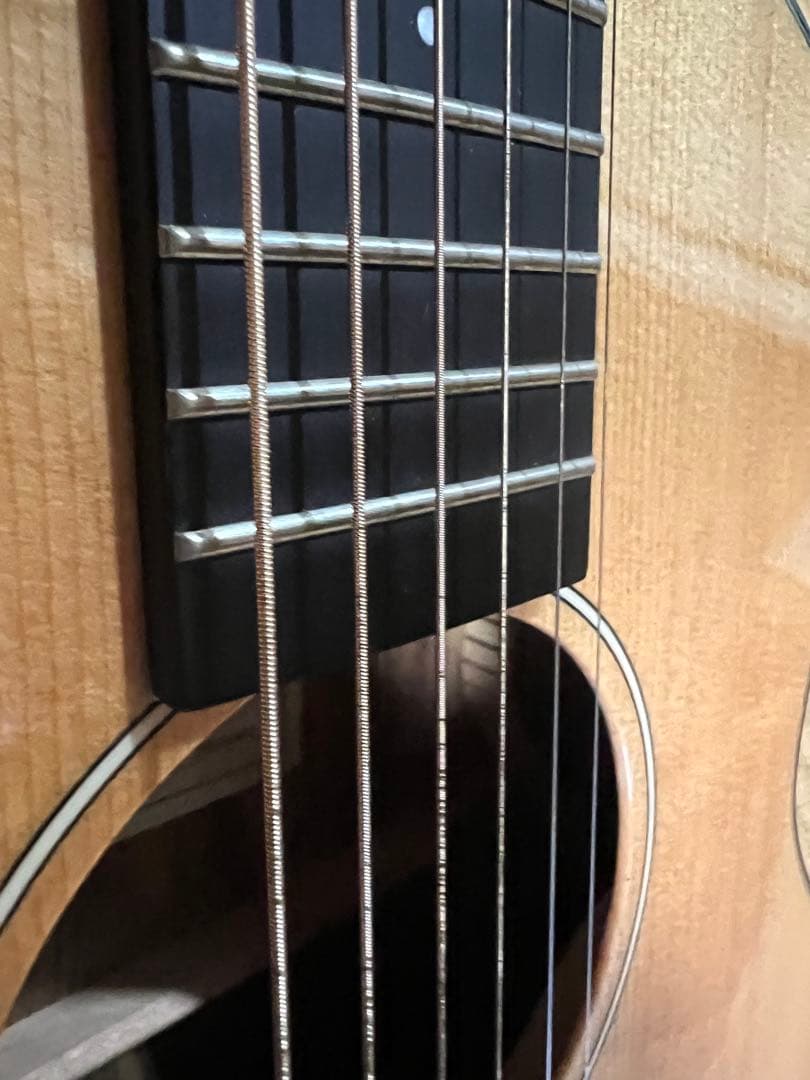 SX SS760E アコースティックギター　エレアコ