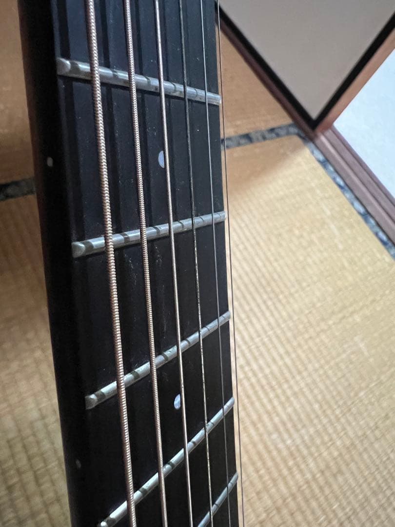 SX SS760E アコースティックギター　エレアコ