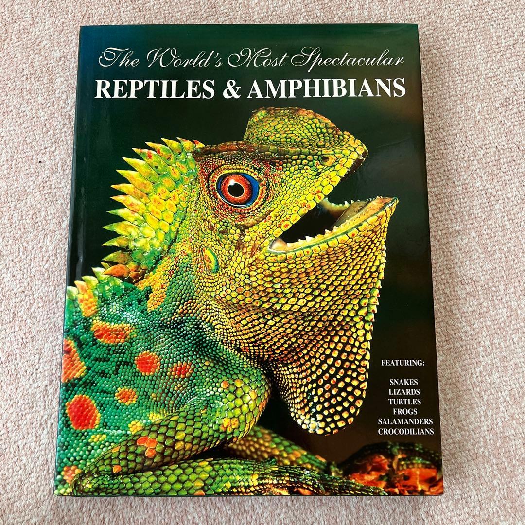 洋書　Reptiles & Amphibians 爬虫類、両生類