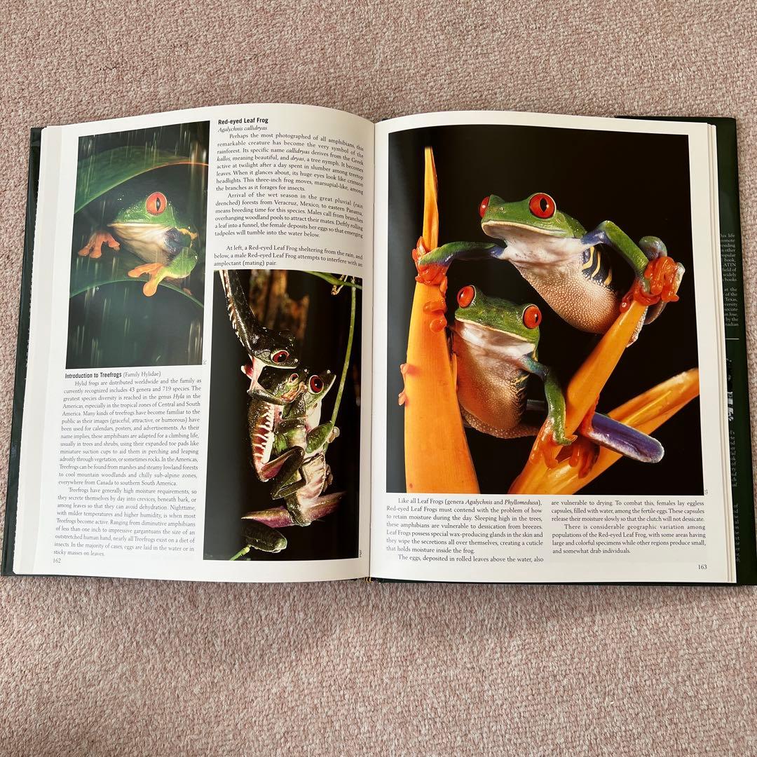 洋書　Reptiles & Amphibians 爬虫類、両生類