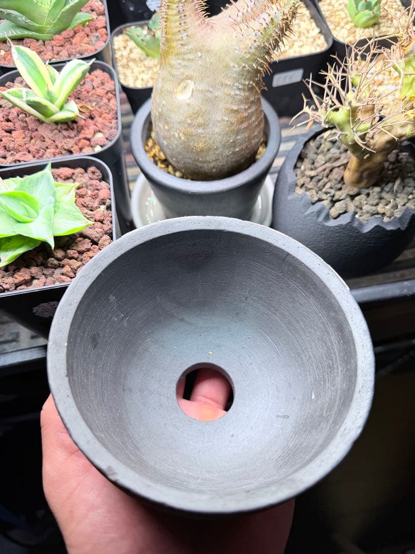 陶器鉢 作家鉢　インビシブルインク