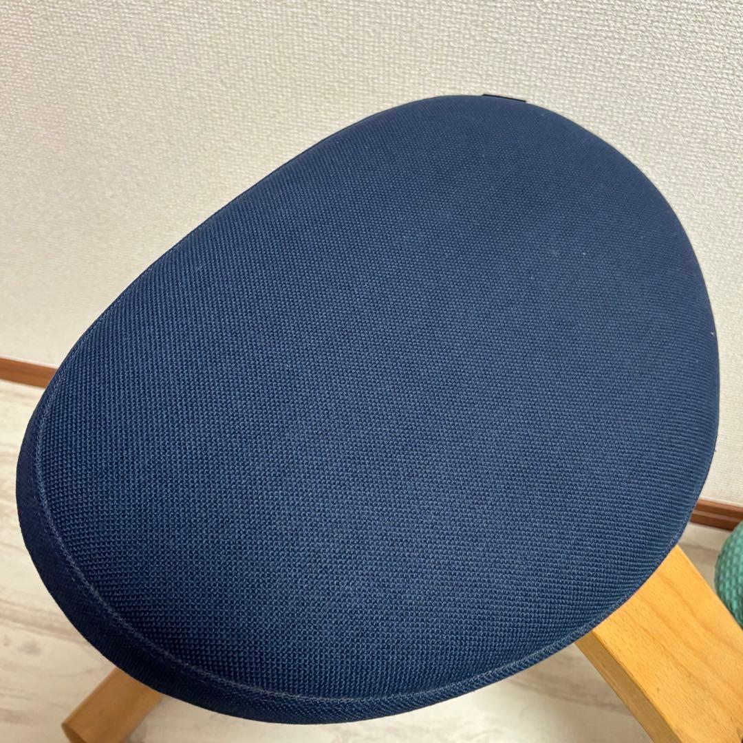 専用　サカモトハウス バランスイージー バランスラボ