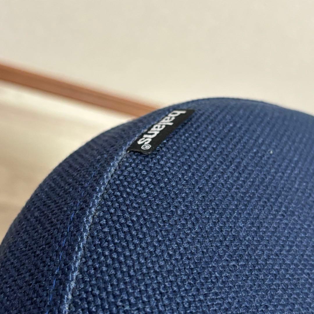 専用　サカモトハウス バランスイージー バランスラボ