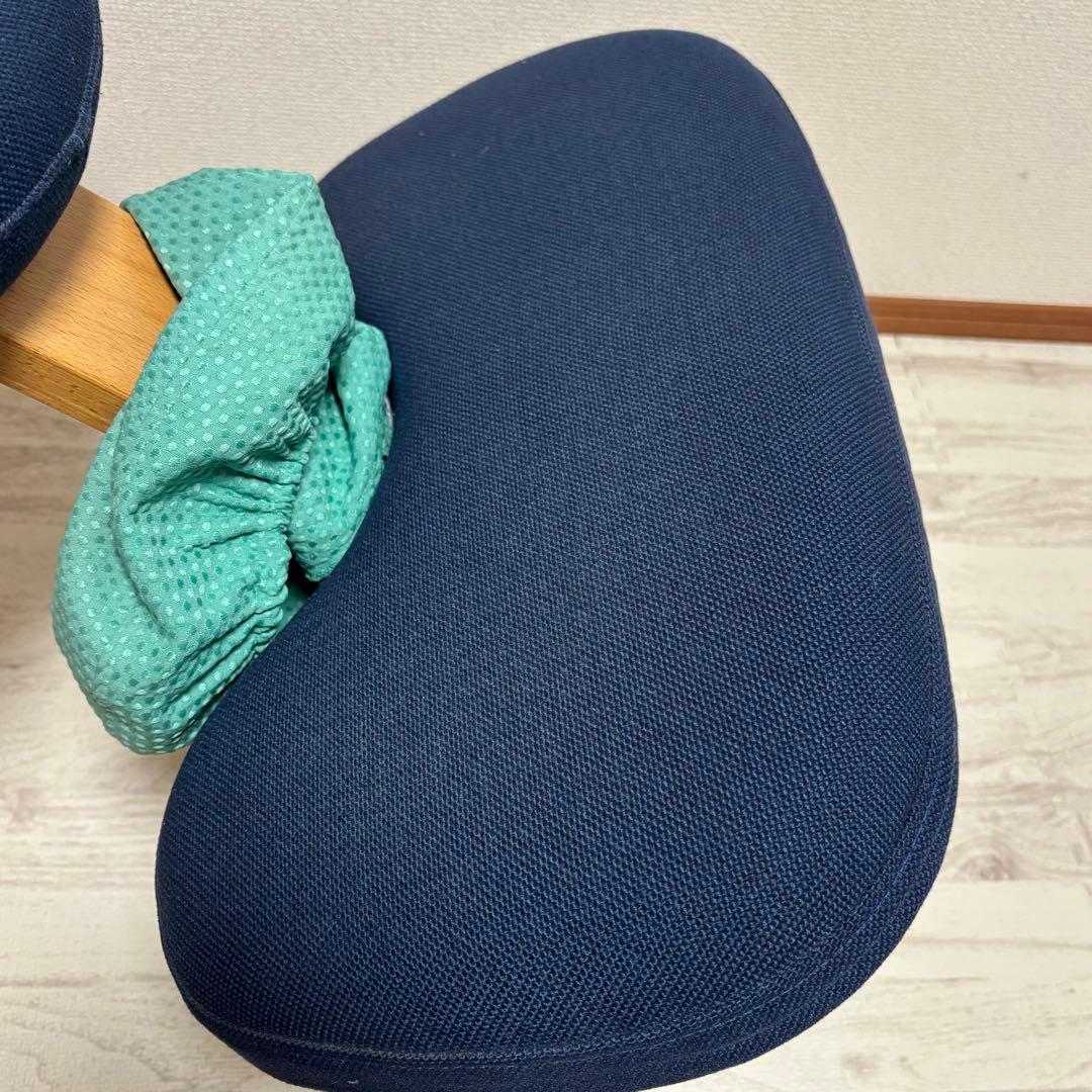 専用　サカモトハウス バランスイージー バランスラボ