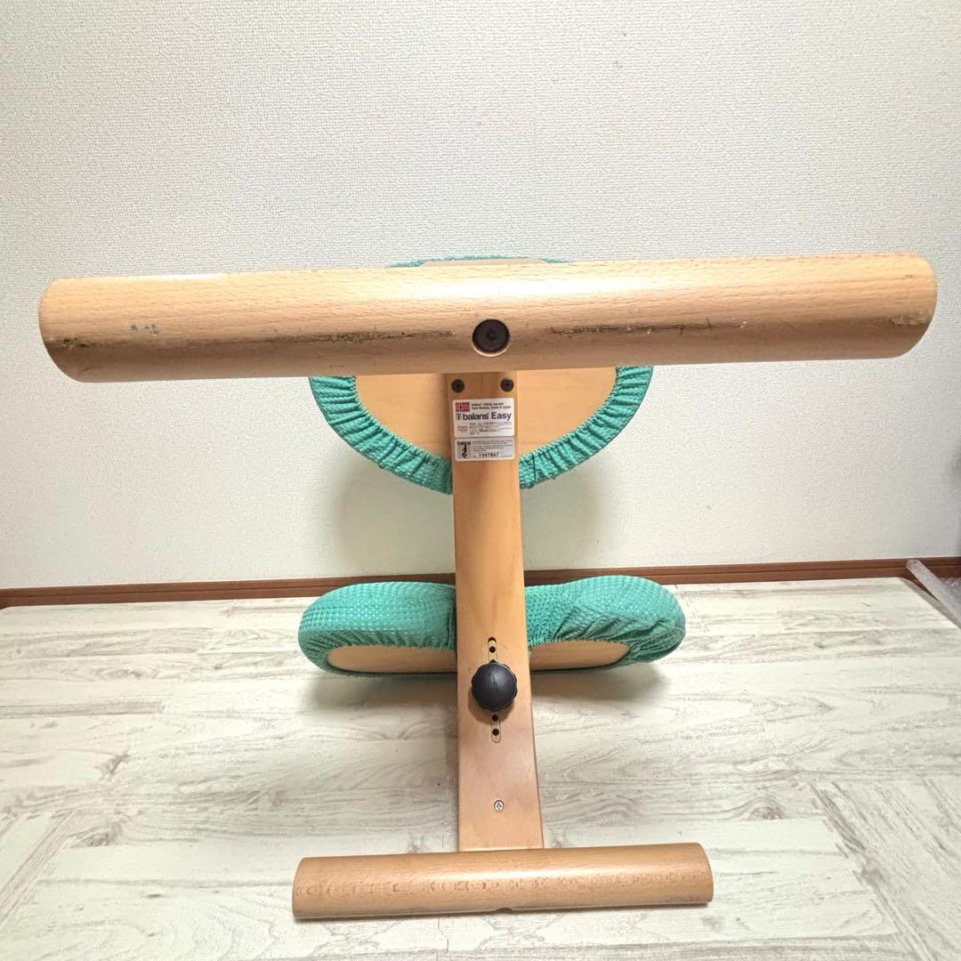専用　サカモトハウス バランスイージー バランスラボ