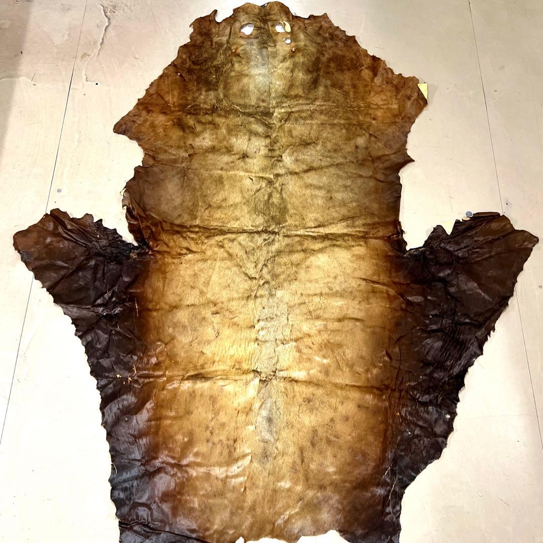 トド毛皮敷物　レザー皮革　海馬　北欧　ファーラグマット　チェア　ソファー　原料⑬